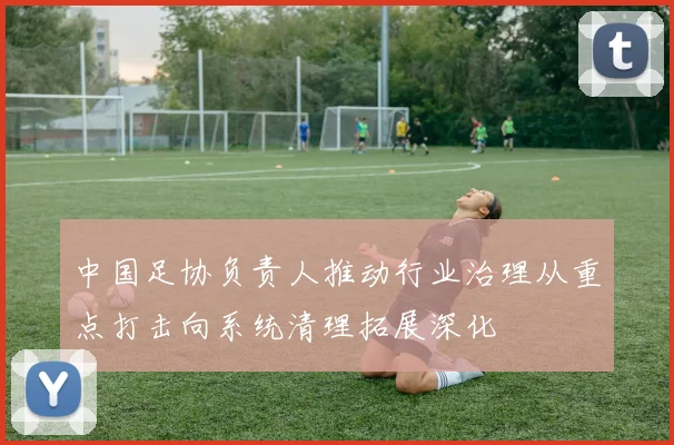 中国足协负责人推动行业治理从重点打击向系统清理拓展深化